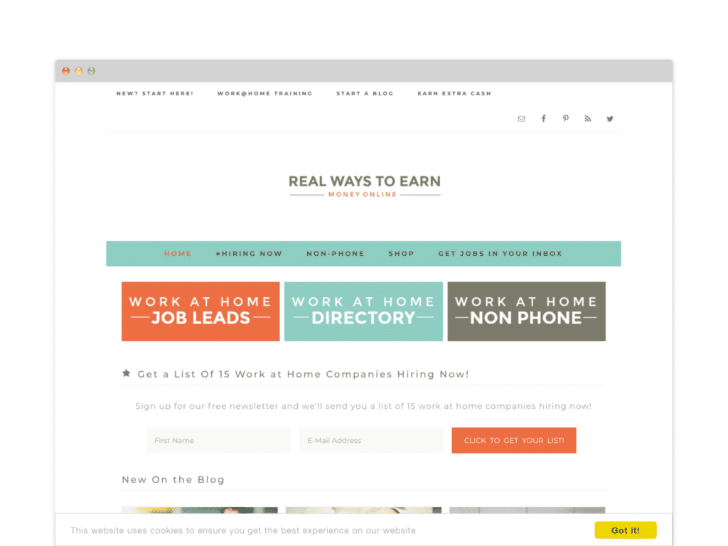 Real Ways to Earn Money Online Website Screen Shot.